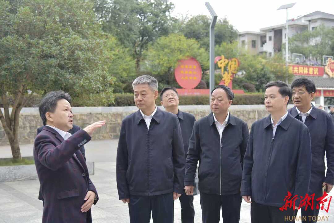 严华在城步苗族自治县调研