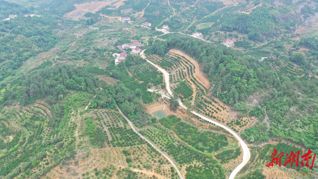 高校专家到了石门一社区，所为何事？