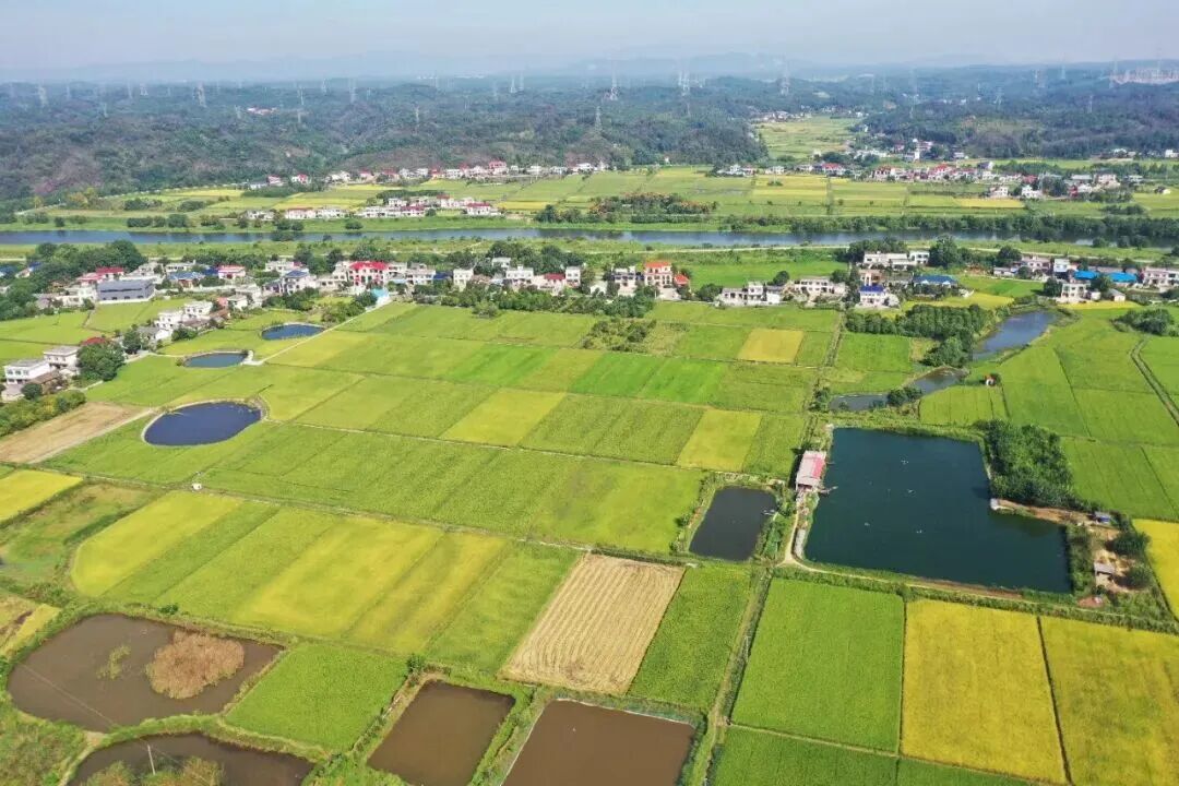 “三化”举措——全省秸秆治理调度会推介“黄花经验”