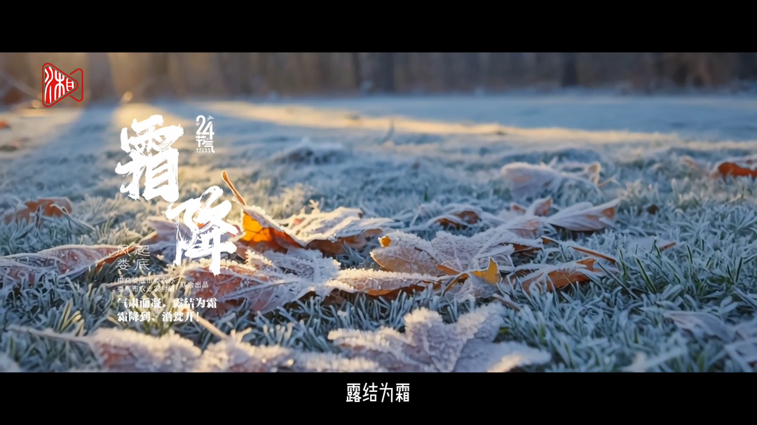 视频|霜降秋寒，一壶新化水酒正温
