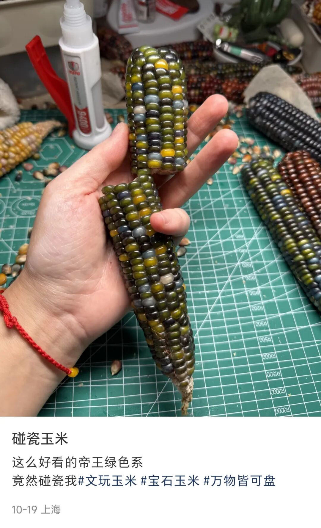 需求突然暴涨！年轻人入坑，价格炒到上万元，一度抢光断货