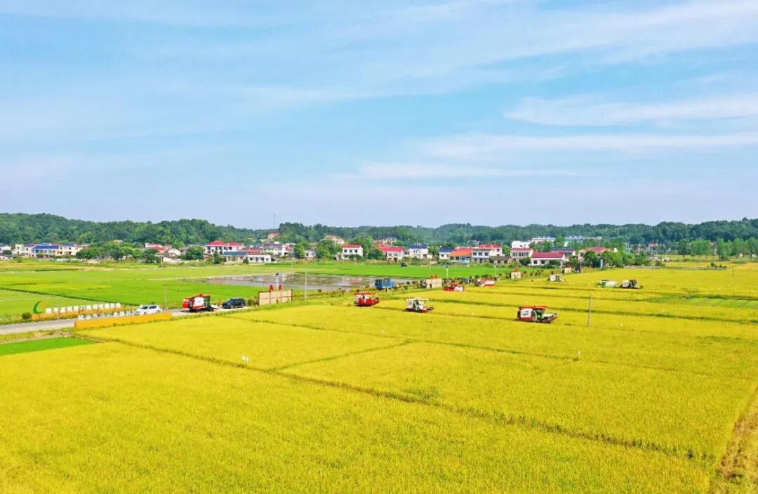 沃野千里话丰收——宁乡市农业农村现代化高质量发展的实践与探索