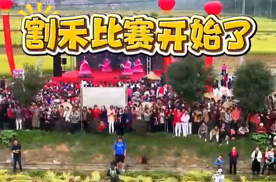 视频|跟着镜头去看双峰清泉村的秋天!