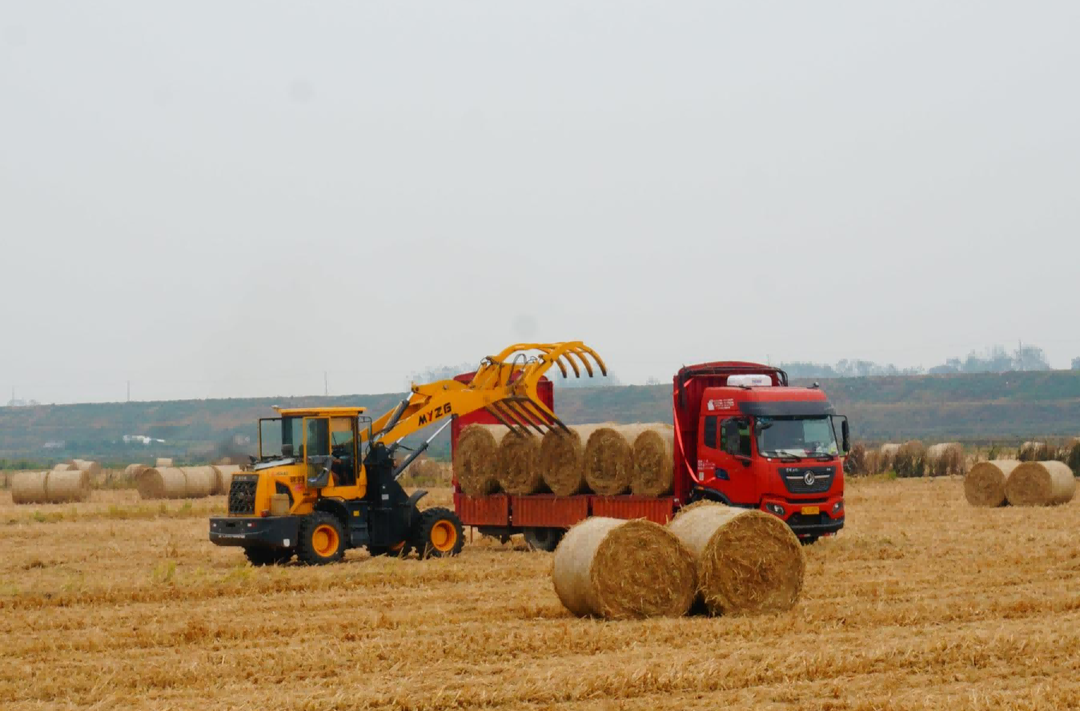 湘潭市秸秆综合利用暨焚烧管控工作现场推进会召开