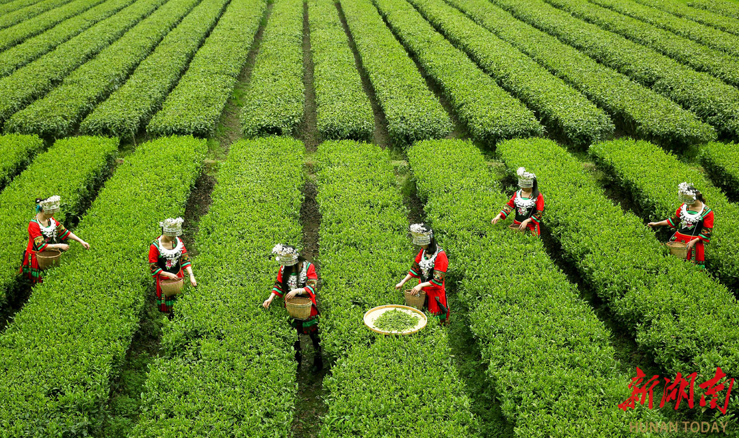 你听，这里美得让人心痛