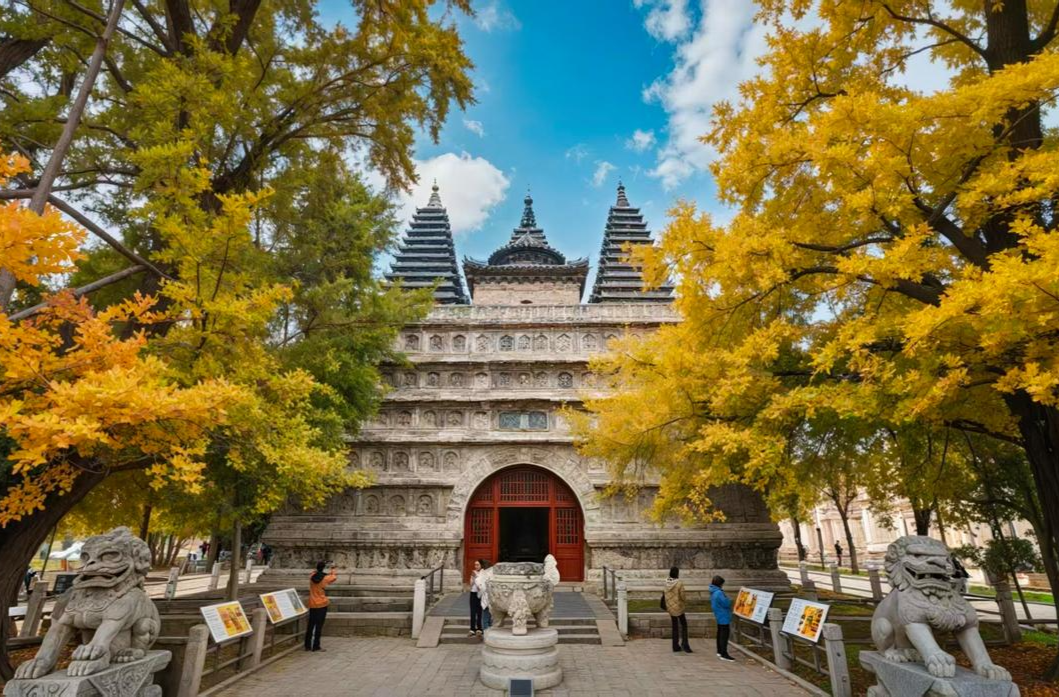 深秋五塔寺，古柿缀“红灯”