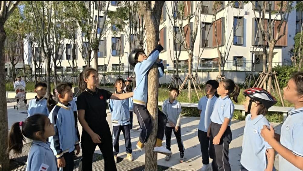 观点｜“爬树课”给予孩子更有趣的童年