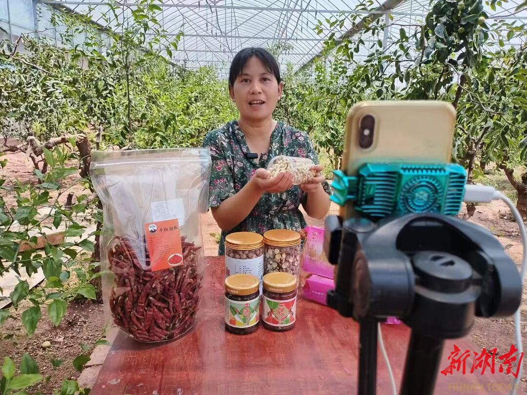 衡阳县:打造县域农产品公共品牌“衡农蒸选”  今年上半年,该县电子商务交易额逾23.8亿元