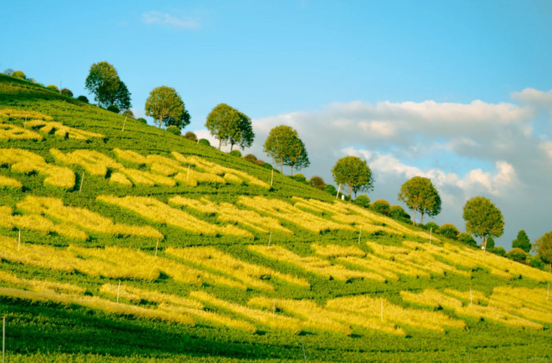一文全掌握！安化走娃文旅优惠+遛娃攻略速领​