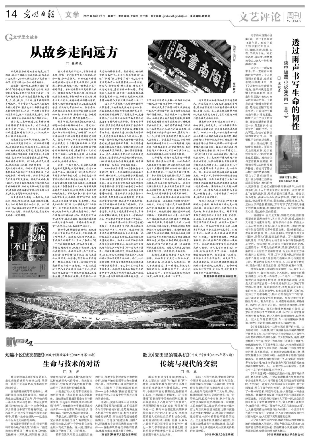 艺评|袁姣素:透过雨声书写生命的韧性
