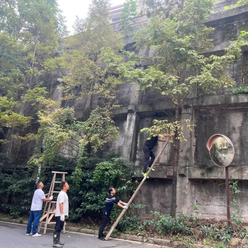 田心焕新 | 石峰新民B安置小区“微改造”暖民心