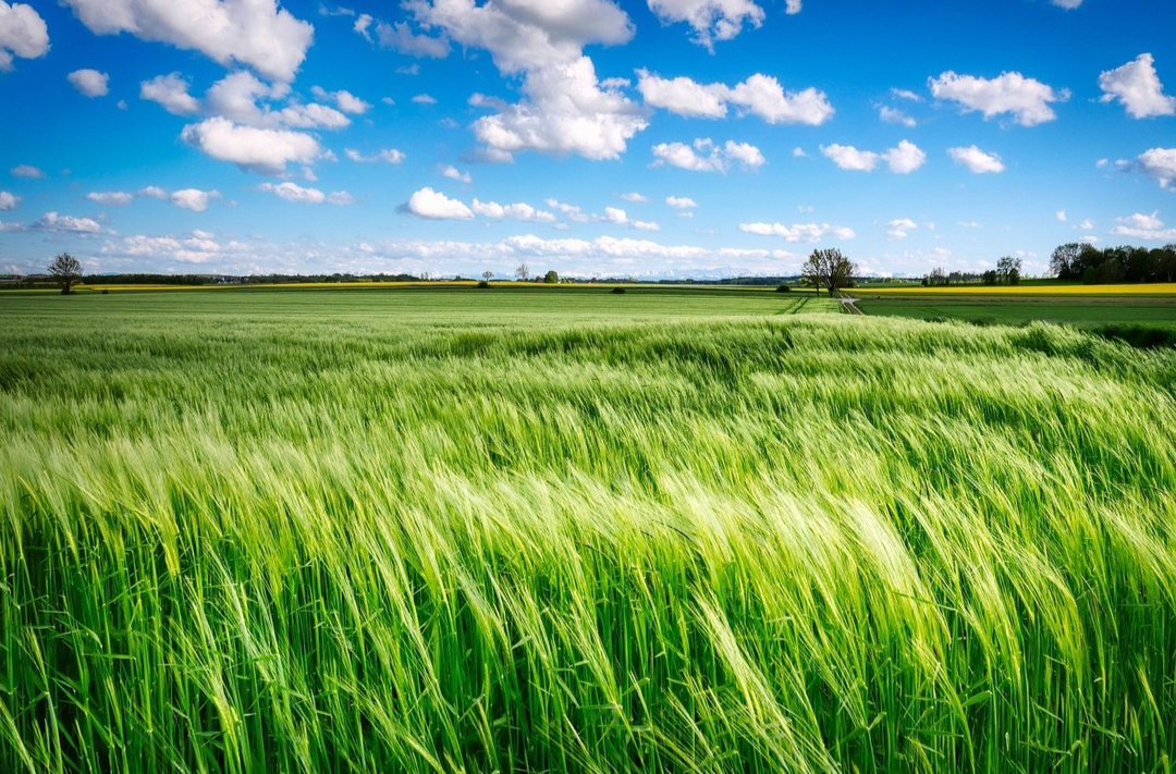我国首次专门立法加强耕地保护和质量提升