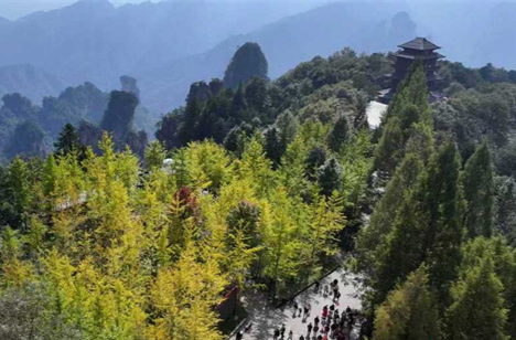 Colorful Autumn Scenery of Zhangjiajie National Forest Park