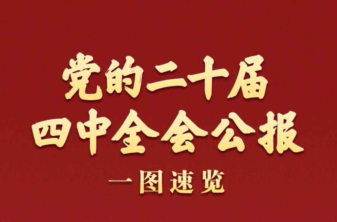 学习新语｜党的二十届四中全会公报一图速览