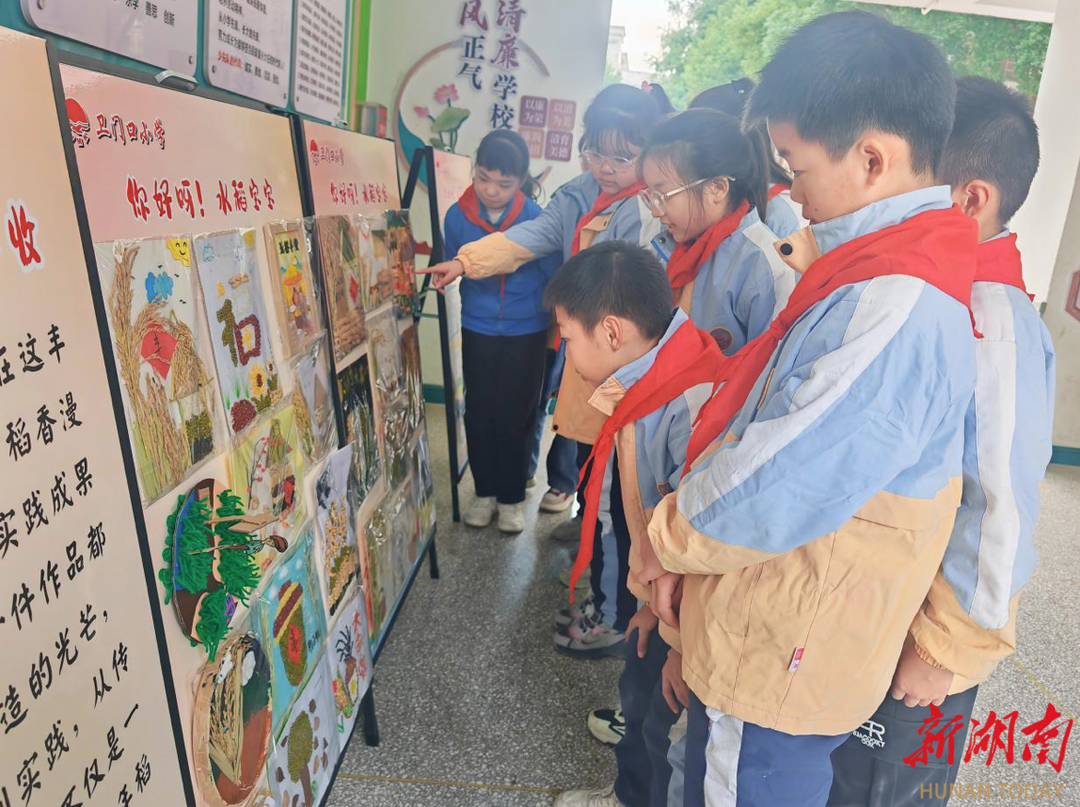 武陵区卫门口小学秋季主题劳动实践活动收官