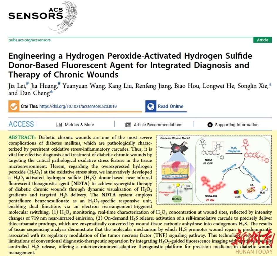 南华医院谢松林教授联合程丹研究员在糖尿病慢性创面诊疗一体化研究领域取得重要进展