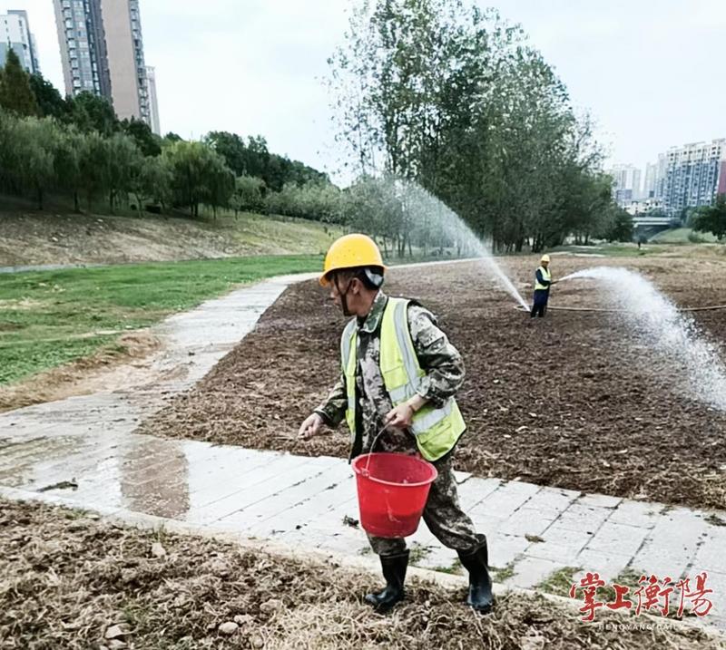 静待来年好春光!衡阳市蒸水南堤油菜花海秋播开始了