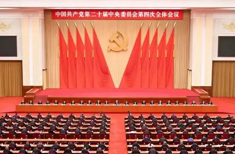 勠力进取，确保基本实现社会主义现代化取得决定性进展——与会同志谈贯彻落实党的二十届四中全会精神