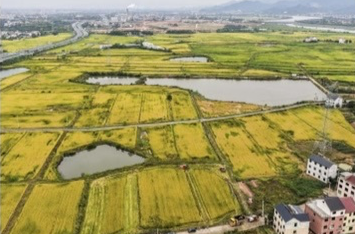 我国首次专门立法加强耕地保护和质量提升