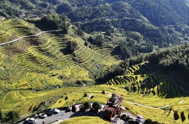 周末·赏秋丨一眼心动！你可能没想到的赏秋好去处