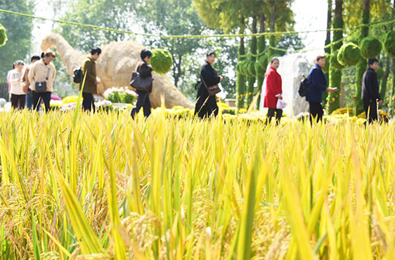 Experience Autumn Farming in Cradle of Ancient Civilization