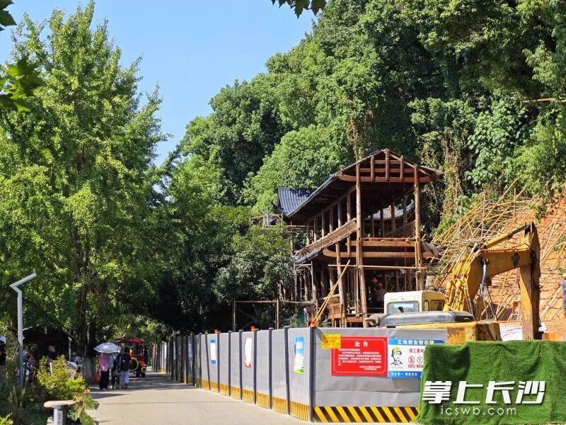 修复前。均为长沙晚报全媒体记者 贺文兵 摄 修复前。均为长沙晚报全媒体记者 贺文兵 摄