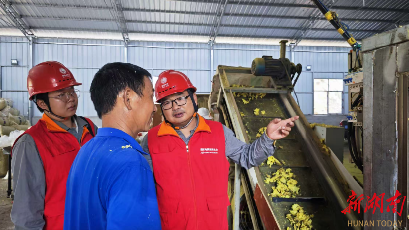 国网张家界供电公司：电力护航“致富花”