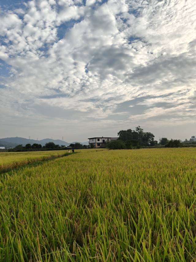 未来两天湖南晴为主，湘中以北部分地区有小雨
