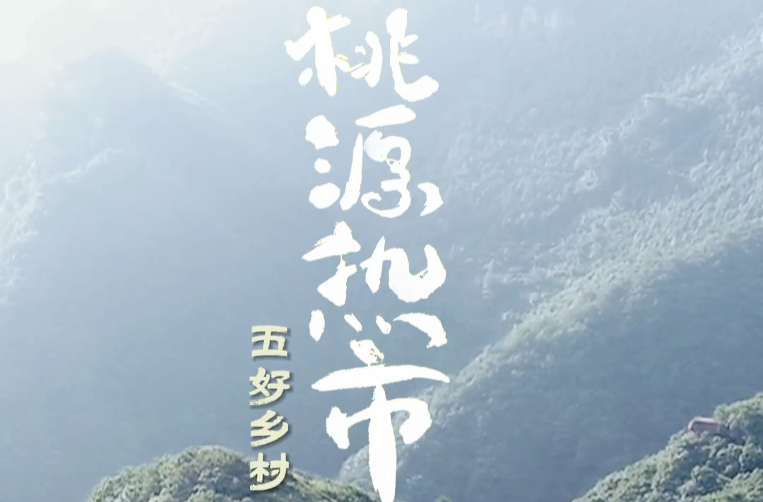 桃花源里·和美湘村 | 打卡桃源热市，解锁“五好乡村”新体验