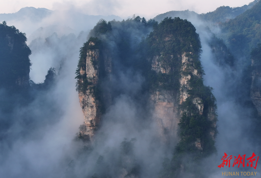 张家界国家森林公园十里画廊：日出云漫峰林间