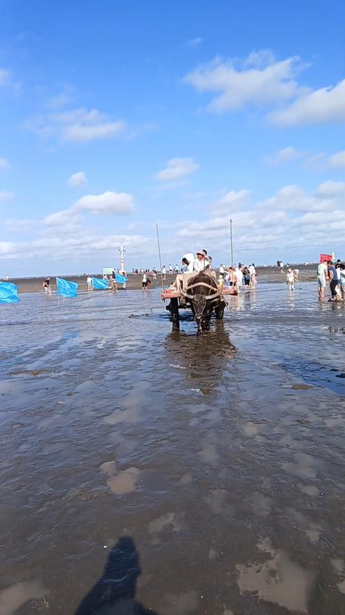 深夜通报：搭载17名游客的景区观光车遇强风冲击侧翻落水，致4人遇难，相关责任人已被控制