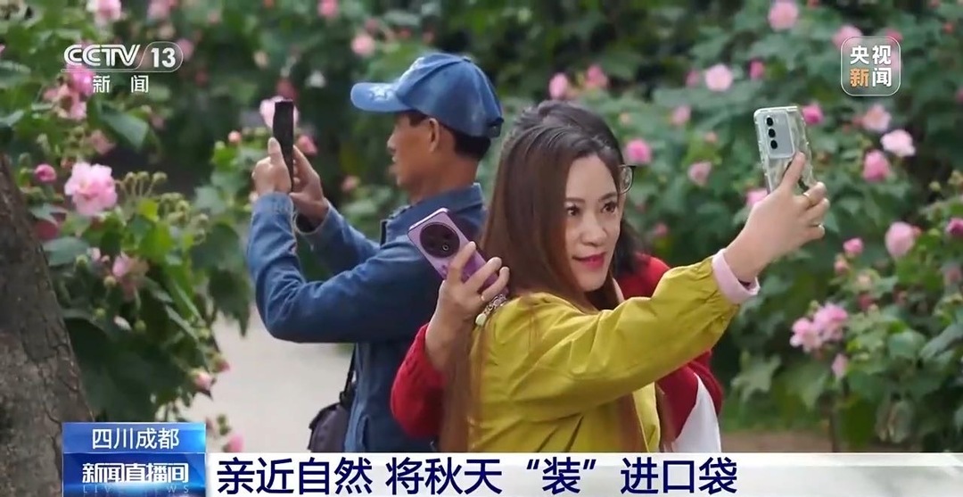 周末·提醒丨“捡秋”有风险 “尝鲜”需谨慎!牢记这些可避隐患