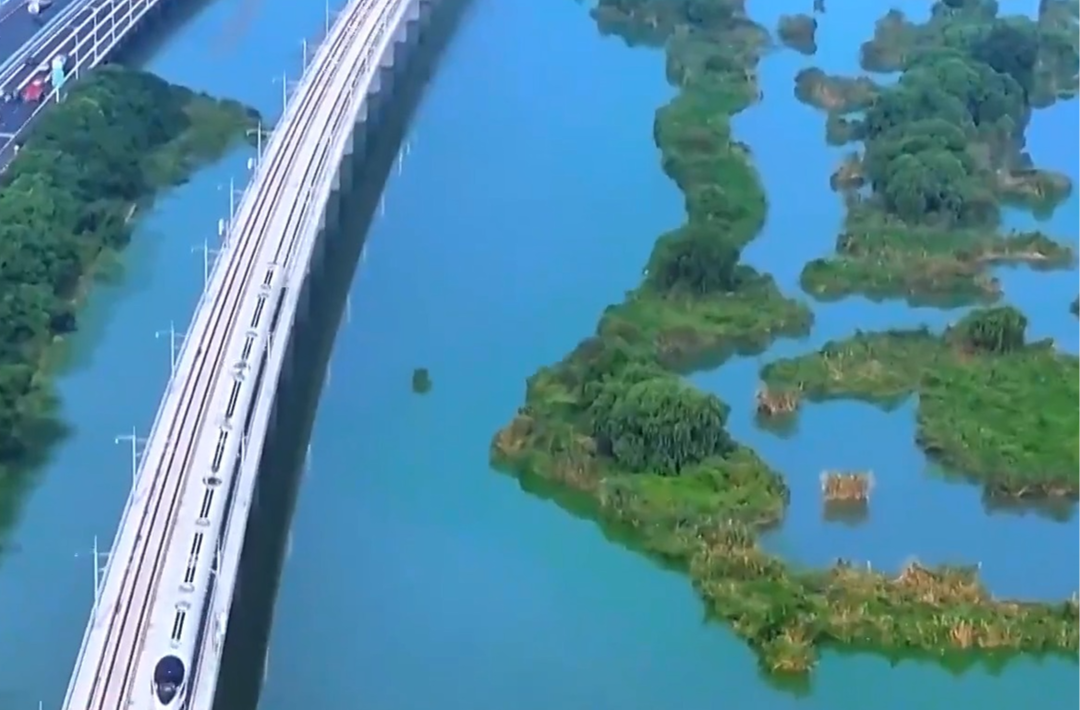 长江“病了”，禁渔五年变样了？