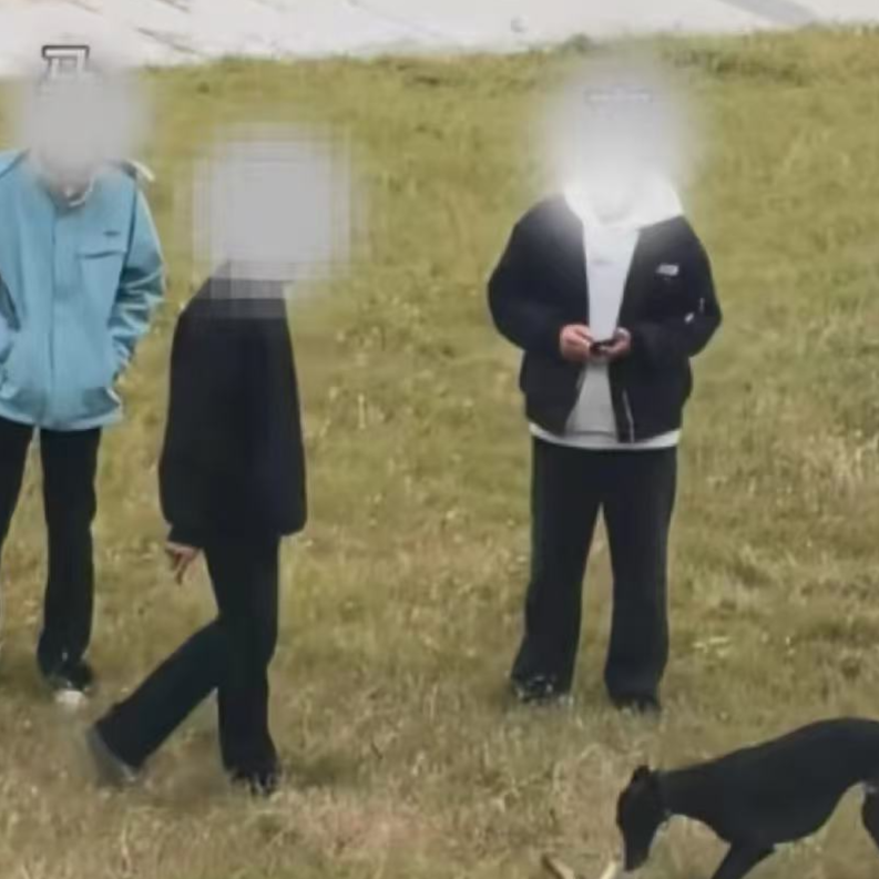 警方通报3男子放烈性犬虐杀小猫,将对违法人员及涉事犬只依法进行处理