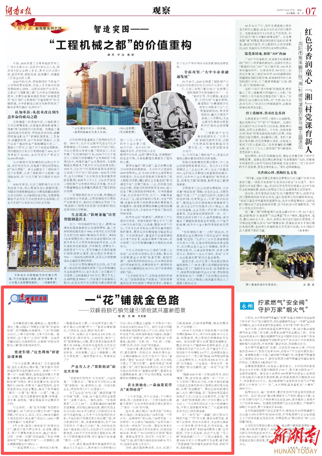 娄底基层发现|双峰县：一“花”铺就金色路@湖南日报