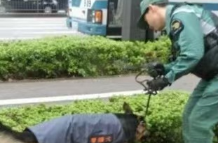日本进入高度安全戒备状态