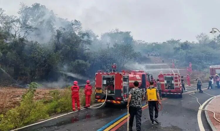 湖南多地齐动员！森林防灭火“大练兵”正在进行时