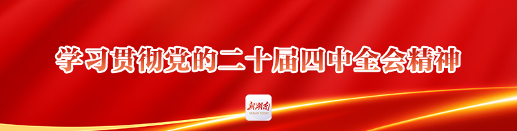 学习贯彻党的二十届四中全会精神