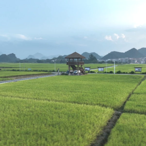 宁远：“一山一城”绘就生态惠民新图景