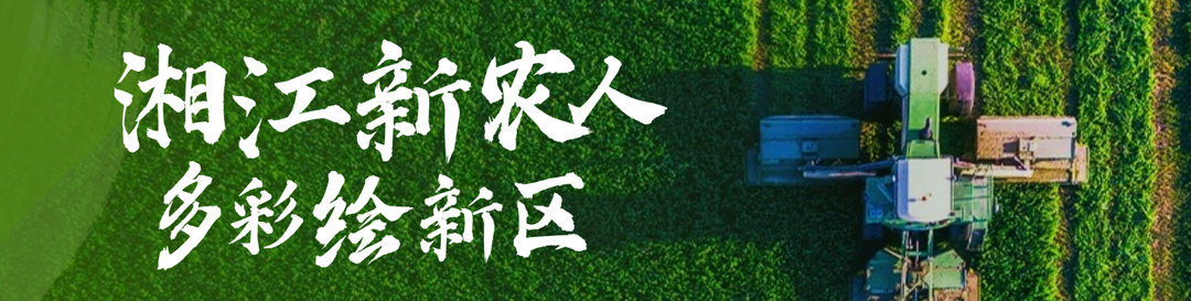 专题丨湘江新农人 多彩绘新区