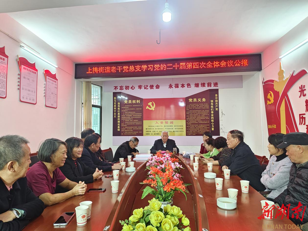 上梅街道老干党总支开展第四季度主题党日活动