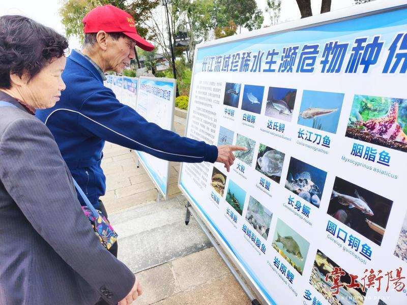 衡阳市开展长江流域“十年禁渔”主题宣传进社区活动