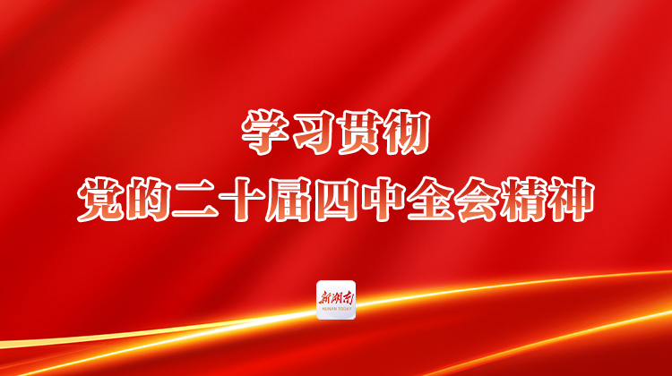 学习贯彻党的二十届四中全会精神