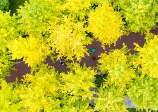 姗姗来迟，湖南秋天正在慢慢“缩水”