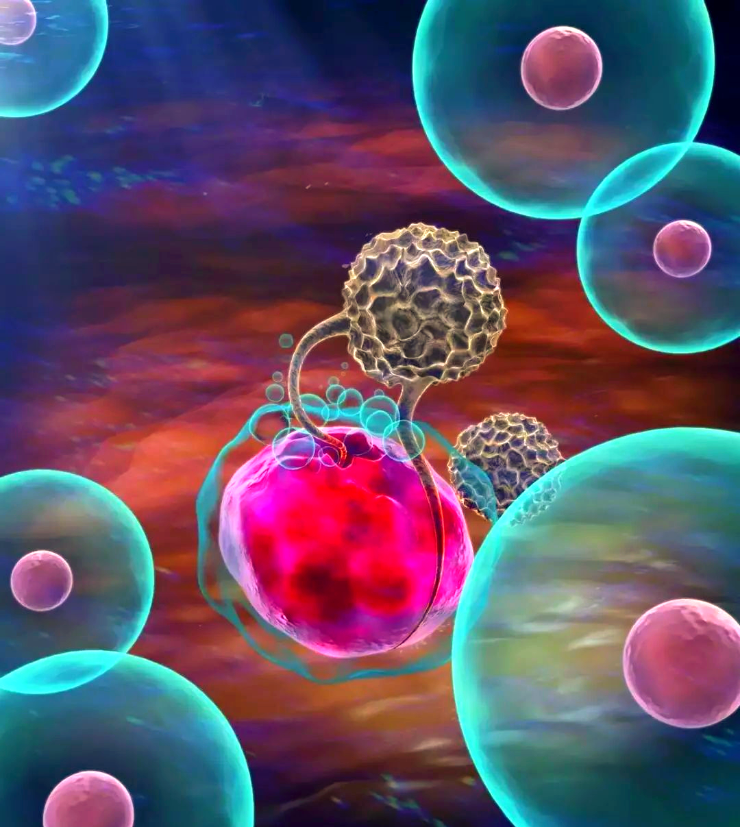 激活细胞“能量工厂”