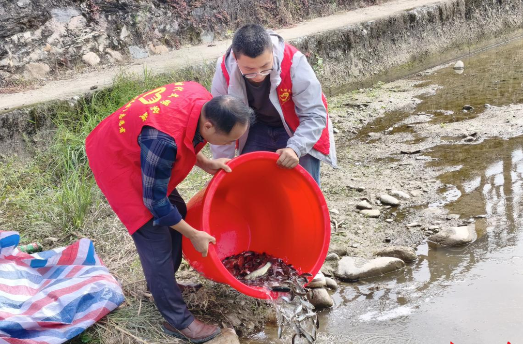以渔养水 一万斤鱼苗涌入炎陵县中村瑶族乡斜獭水河道