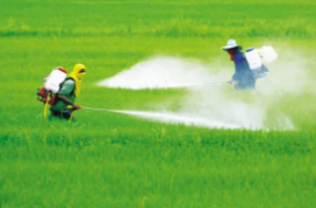 在宽广的亚太铺设发展通途——推动区域共同繁荣的中国实践