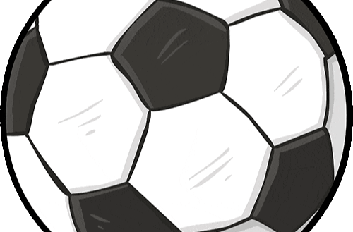 永州“林业+体育”模式亮相湘超赛场