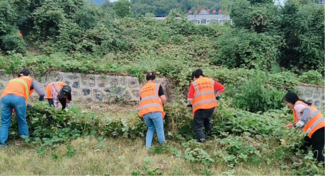 冷水滩清除校园周边“微隐患”  筑牢出行“安全防线”