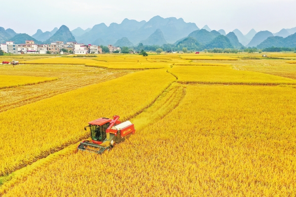 图片新闻：宁远机械作业助秋收@湖南日报头版